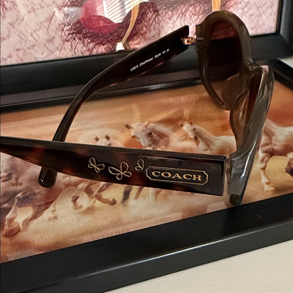 Coach Brown Tortoise Sunglasses